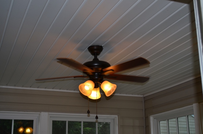 New ceiling fan. The old one was just sad, dirty and the blades were very droopy.